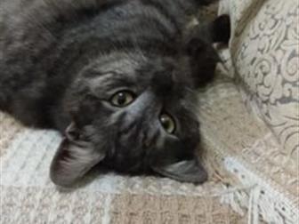      !  ,  ,  ,    , ,     ,   