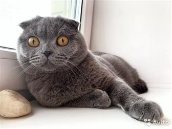         ,   ,  ,  :      ,  