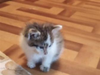  ,  !       , , , !    !    