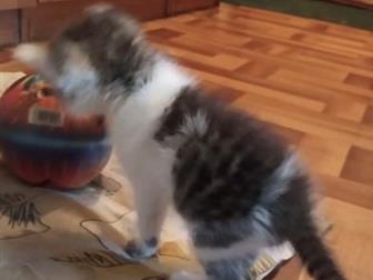  ,  !       , , , !    !    