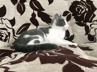   ,    2018 ,    ,    ,    ,  , , , ,    