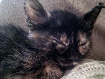    ,  , , ,   ,    ,   ,        ,  