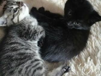  ,     !    ,  ,   ,   ,  