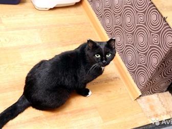   , ,   -, , , , , ,   ,       ,    