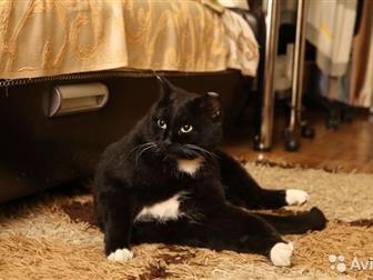   , ,   -, , , , , ,   ,       ,    