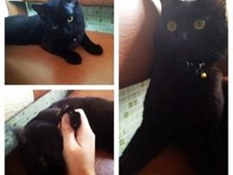   , ,      ,  2 !    ,     ((     !    