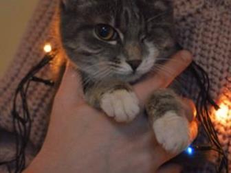   , , 6 ,  ,  , ,    , ,  