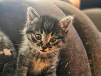     ,  19 ,  ,   ,   ,   ,  , 3     