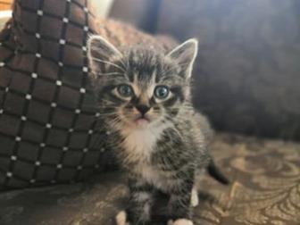     ,  19 ,  ,   ,   ,   ,  , 3     