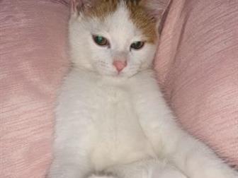       ,      ,  ,   ,    ,   ,    ,  