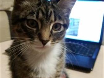    4  ,      ,     ,         ,   