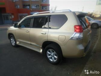  LAND CRUISER PRADO   ,  , 7 ,   ,   ,    , ,  