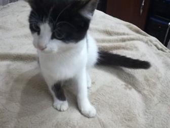   ,   ,   , - ,    2 ,   ,  