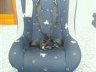   Chicco