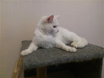  foto        32746256  