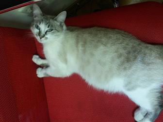   foto        33134657  