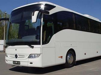         50  mercedes-bus 35848711  