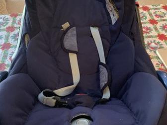      maxi - cosi         ,  ,    13 ,   
