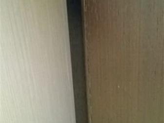  2 , 2000600 ():  ,  : ,  ,        (  