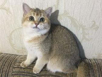       ,   , ,   ,  1-3  -      