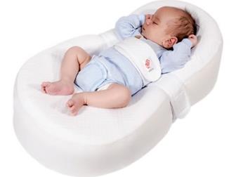 - Farla Baby Shell -        ,  Baby Shell       ,     