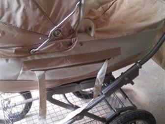    (    )Inglesina   -800 , : /  