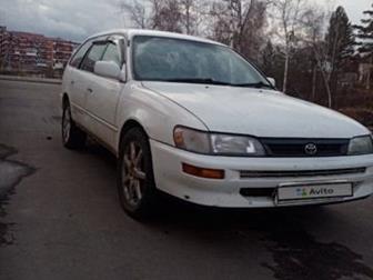    : 3VIN   : 25TC****03 : 5: VIII (19952000): 1, 6 4WD MT (110 , , ) :  