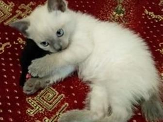       ,      ,    , , 17, 01, 20,   ,  