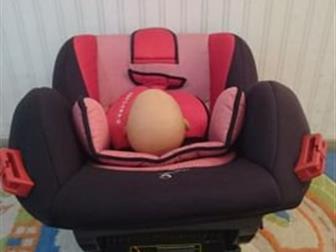    Baby car   6 ,    , , ,   -    ,   ,       