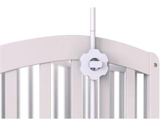  Babyton ,   400175 ,  ,     Babyton ,      ,     