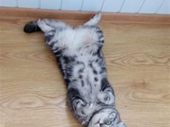   ,     ,    , 22, 06, 2014 , ,     MystiCat,    ,   