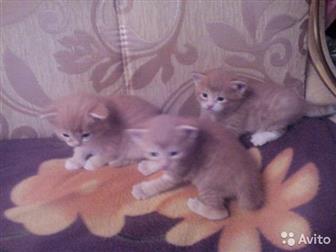  ,  4 ,  ,     ,  