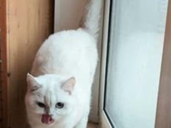              ,   8 ,   ,  ,     ,     
