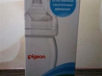  Pigeon 240 -500,    M(3 )-300,   2 -  L(6)-300 ,    2 - ,  ,     