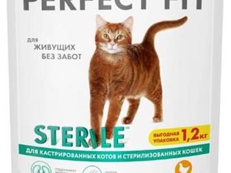        ,    3 ,  (    ),       PURINA ONE  