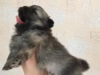    ,   14 ,    ,  ,   )    ,        