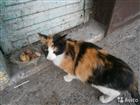 Нужна помощь
