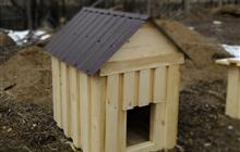 ������� �����