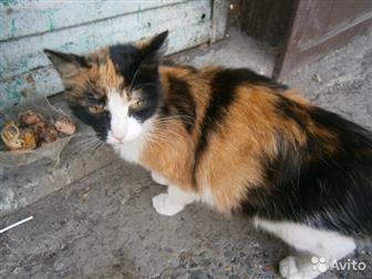  ,  , 40, 5-6 ,            , ,   ,     