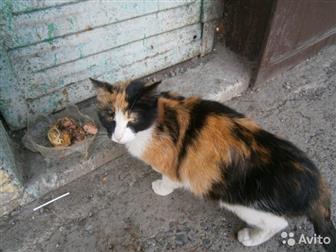  ,  , 40, 5-6 ,            , ,   ,     
