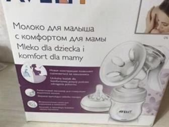  ,   ,      ,      , : /  