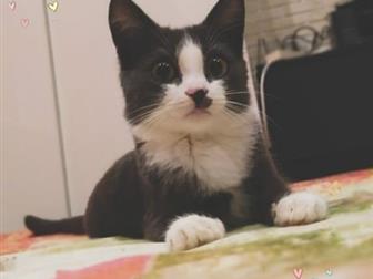     ! , , 3 ,     ,    ,   ,        