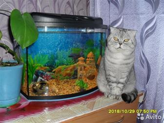 ,      ,    ,      ,    ,  ,  