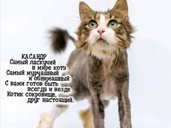 ,    ,     ,        ,       ,     , , ,  