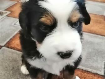   , 2 ,  13 ,       