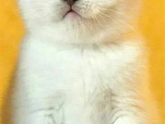      ,      ,  1   1 ,   ,  ,  ,   ,  