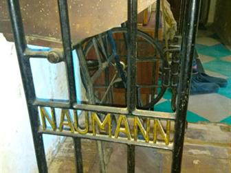   NAUMANN () 1939 ,     ,      ,     ( ),     ,  