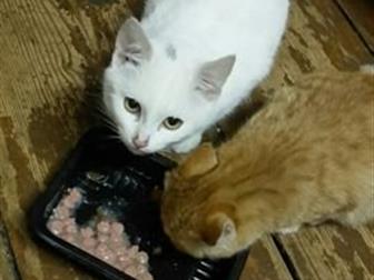         ,          ,   5,   ,   