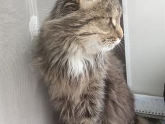  ,  ))),     : , ,      ,    , , ,   