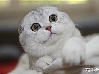    ,  ,,,      ,  